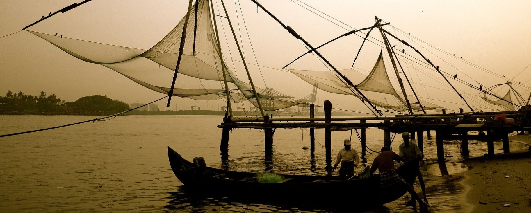 Destacados de cochin