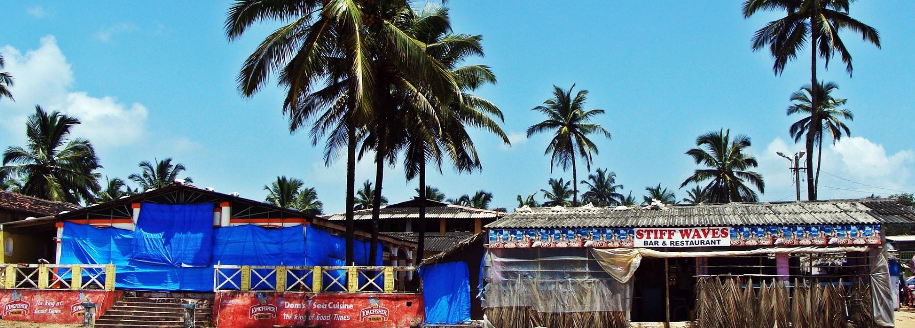 El recorrido cultural y de plantaciones de Goa