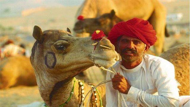 Triángulo de oro en la India