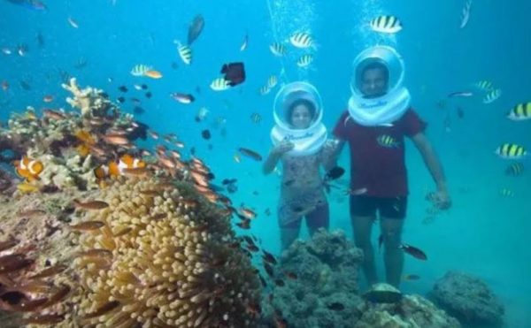Honeymoon in india