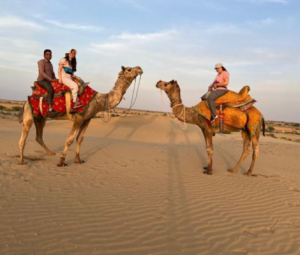 camels