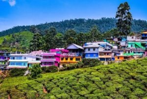 Madurai – Munnar (160 km, 4 Stunden 30 Minuten)