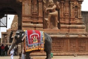 Tanjore – Madurai (186 km, 3 Stunden 15 Minuten)