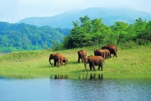 Munnar