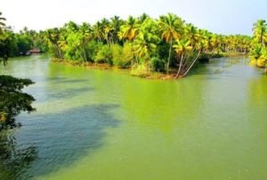 Kanyakumari – Poovar (66 km, ca. 2 Stunden) Poovar – Kovalam (14 km, ca. 20 Minuten) Kovalam – Trivandrum (18 km, ca. 30 Minuten)