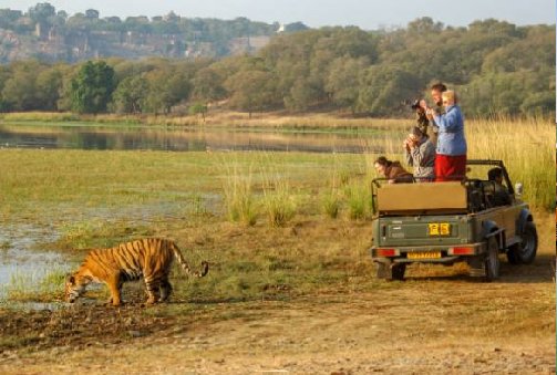 Ranthambore – Abhaneri – Bharatpur (203 km, ca. 4 Std. 45 Min.)